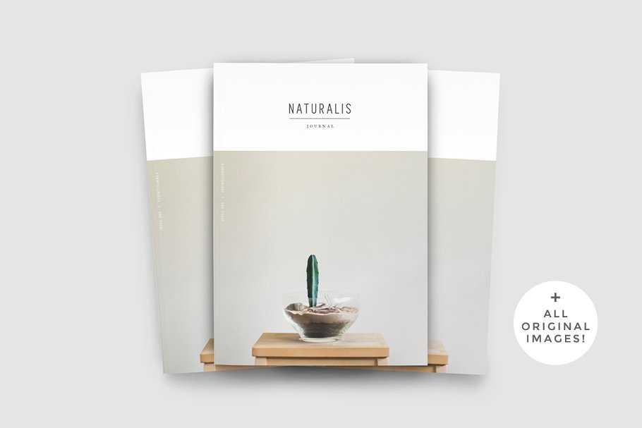 盆栽植物主题杂志模板 NATURALIS Lookbook / Magazine插图