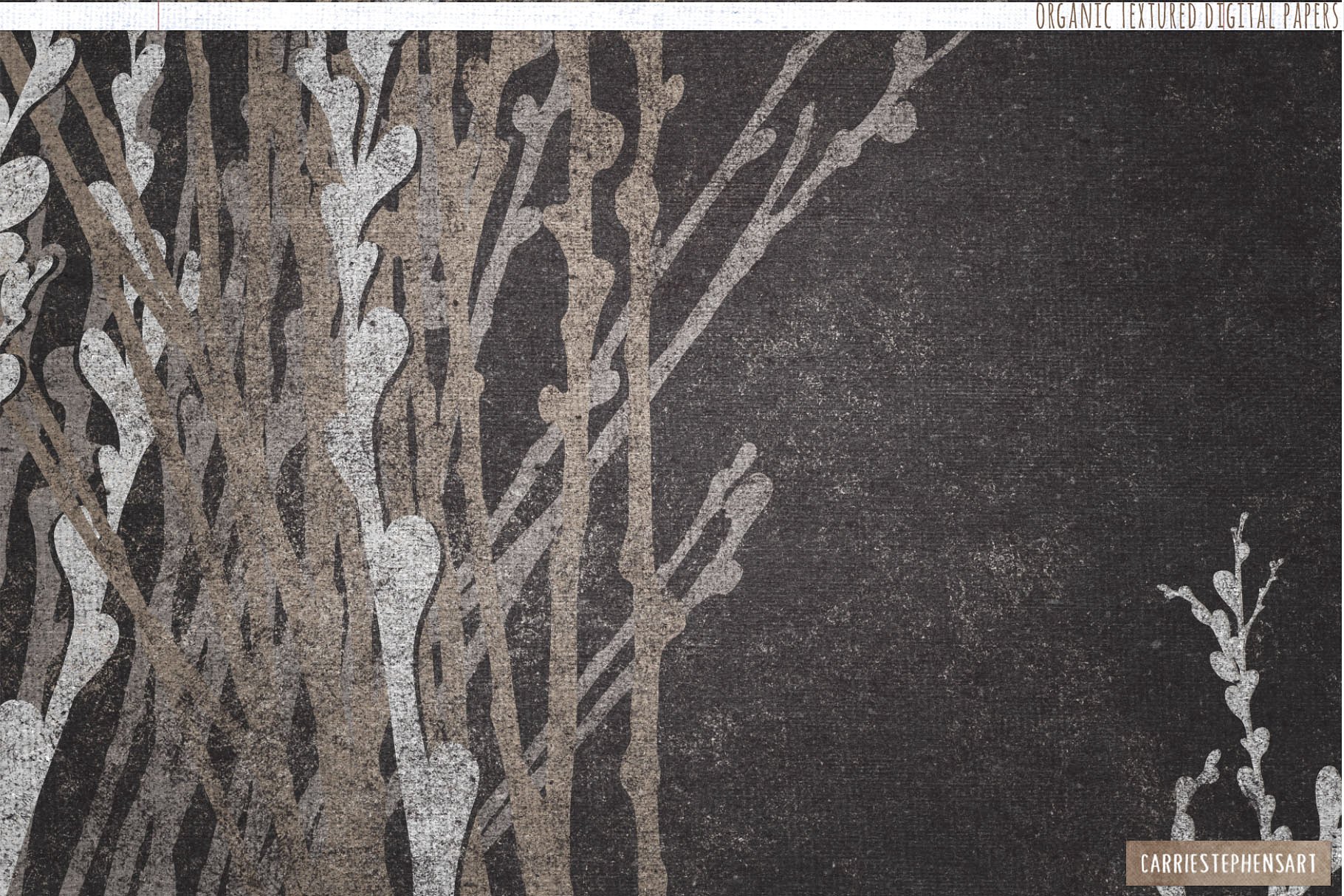 纯天然有机纹理背景 Natural Organic Textured Backgrounds插图(4)