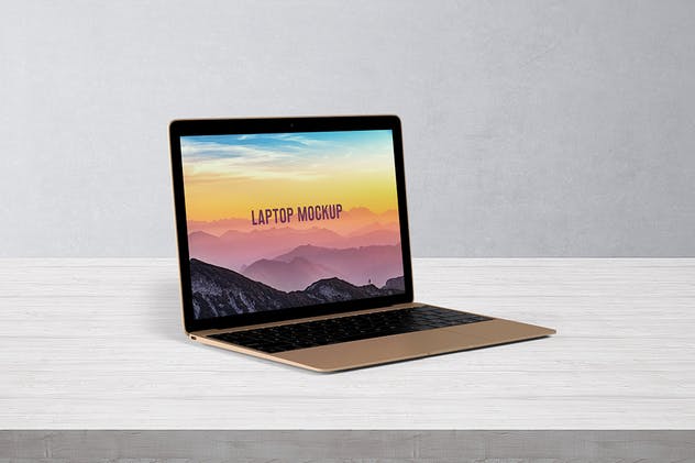 笔记本电脑屏幕演示样机模板 14×9 Laptop Screen Mock-Up – Gold插图(1)