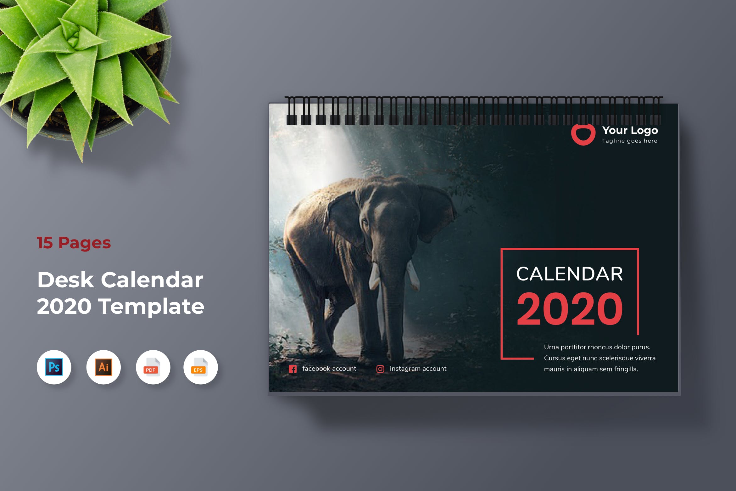动物摄影主题2020款活页日历设计模板 Calendar 2020插图