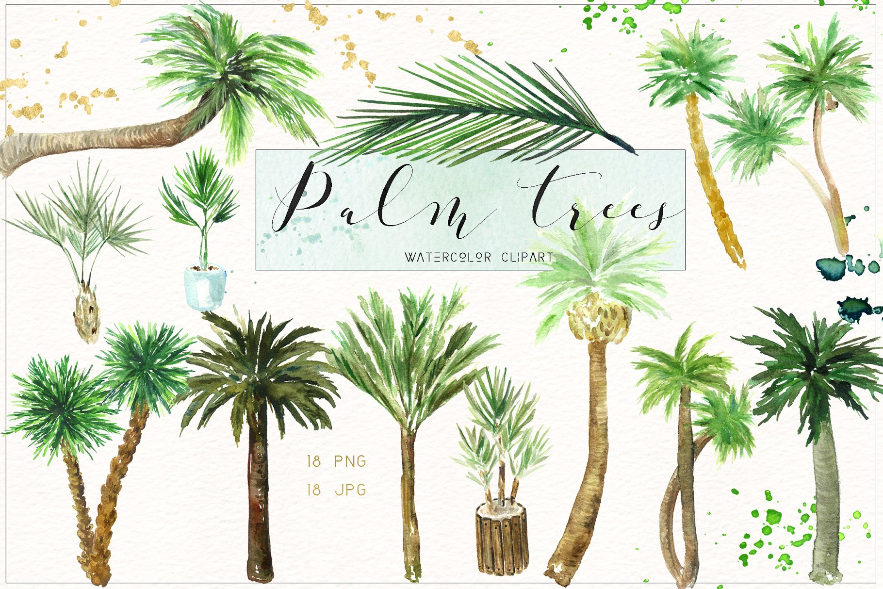 椰子树水彩剪贴画 Palm trees. Watercolor clipart.插图