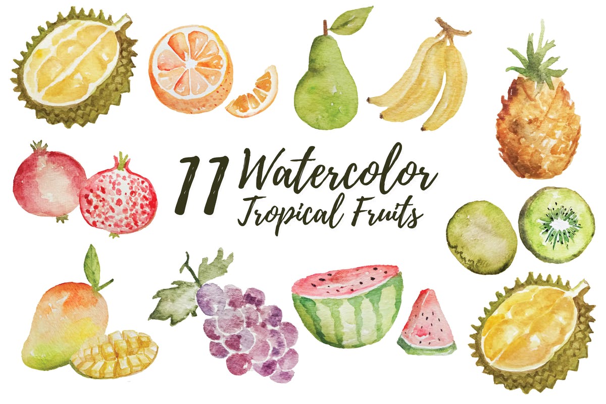 11款热带水果水彩插画设计素材 11 Watercolor Tropical Fruits Illustration插图