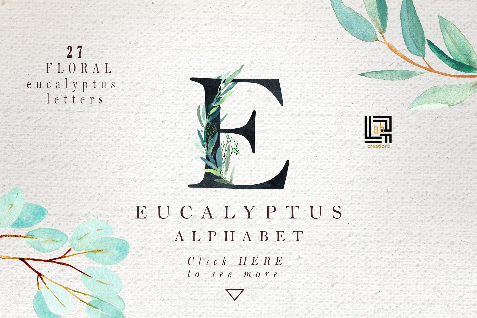 桉树叶水彩剪贴画&水彩装饰字体 Eucalyptus. Watercolor clipart.插图(10)