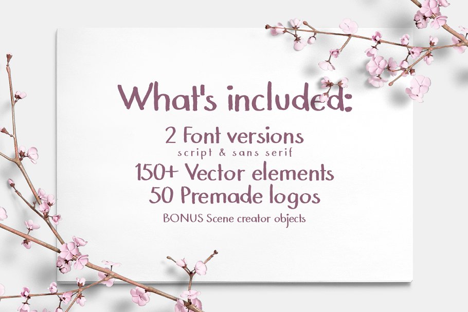 13款手写英文字体合集&Logo模板、矢量插画 Wonderland Fonts Pack & Branding Kit插图(41)
