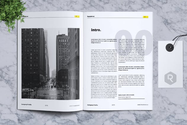 24页公司简介宣传册画册设计模板 FOXIEKNOT – Company Profile Brochure插图2