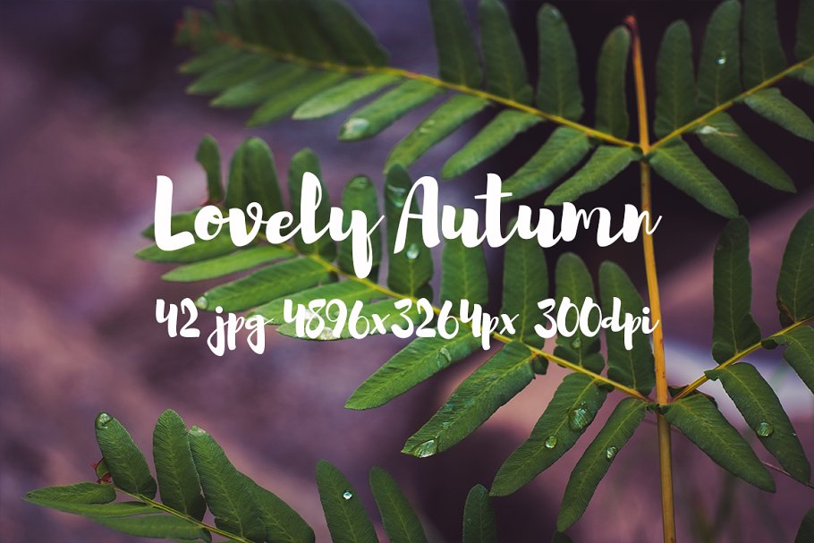 可爱秋天主题高清照片素材 Lovely autumn photo bundle插图15