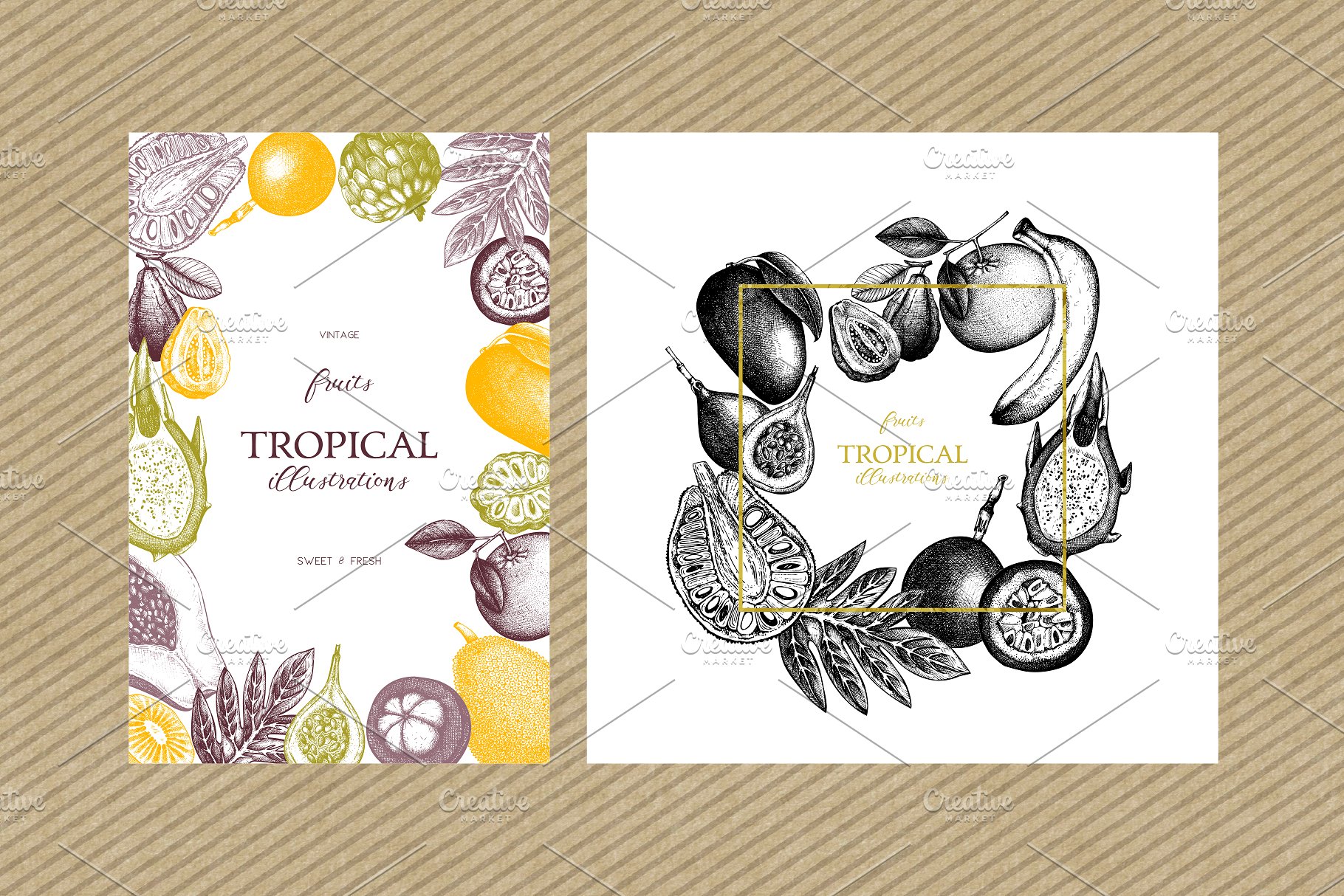 热带亚热带水果矢量图形套装 Vector Exotic Fruits & Plans Set插图(3)