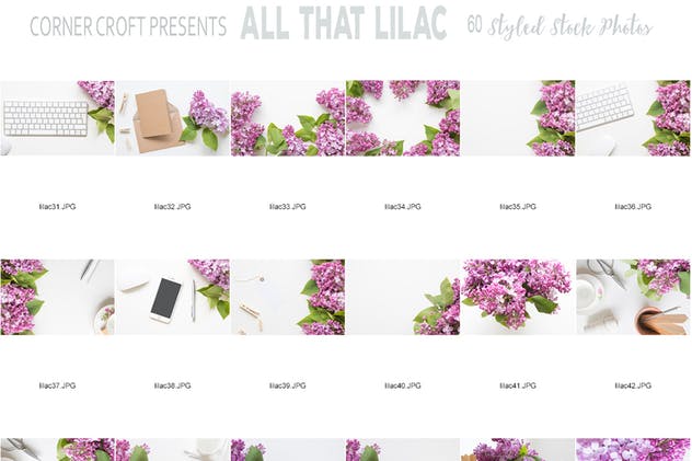 紫丁香花装饰场景背景照片 Lilac Styled Stock Photo Bundle插图(4)