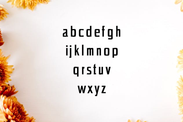 极简现代设计风格的无衬线字体套装 Chrys Sans Serif Font Family Pack插图2
