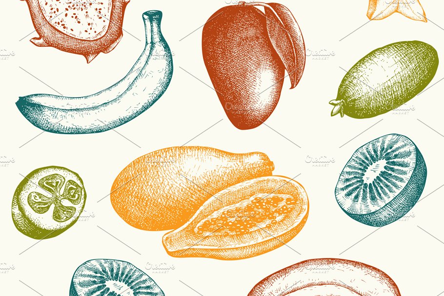 墨水手绘矢量水果插图 Vector Fruits Illustrations Set插图(1)