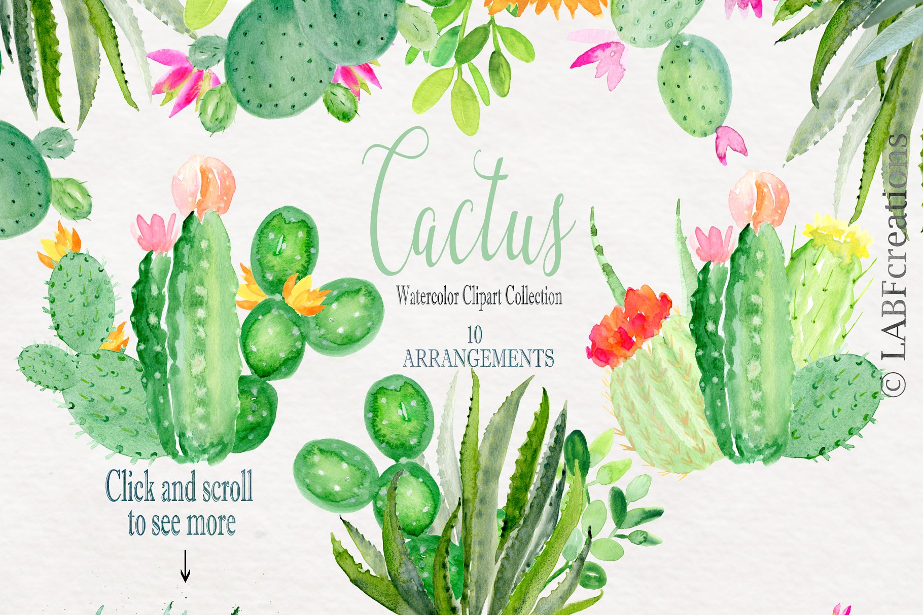 仙人掌水彩剪贴画合集 Cactus watercolr clipart collection插图6