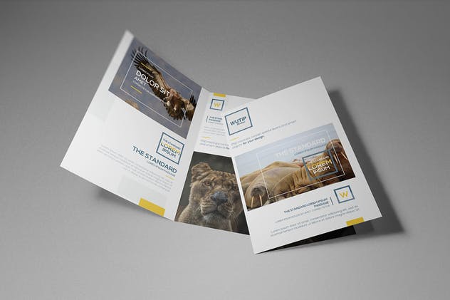 双折页A4规格企业品牌宣传册样机 Bi-Fold A4 Brochure Mockups插图(6)
