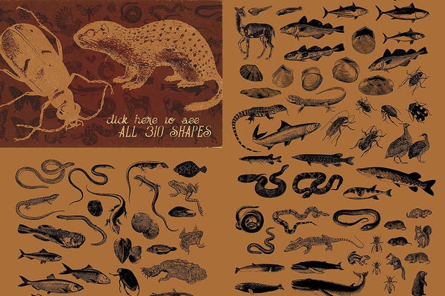 310个复古动物图形矢量插画素材 Vintage Animals Vectors插图1
