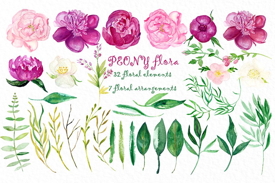 牡丹花丛水彩花卉剪贴画 Peony flora watercolor flowers插图(7)