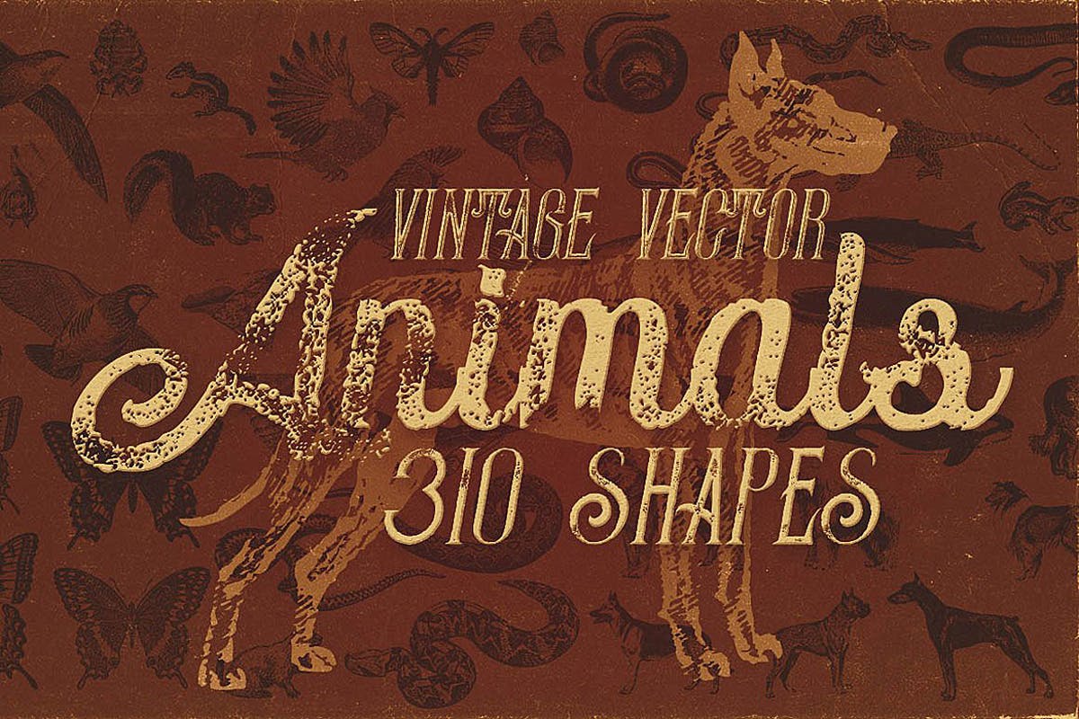 310个复古动物图形矢量插画素材 Vintage Animals Vectors插图