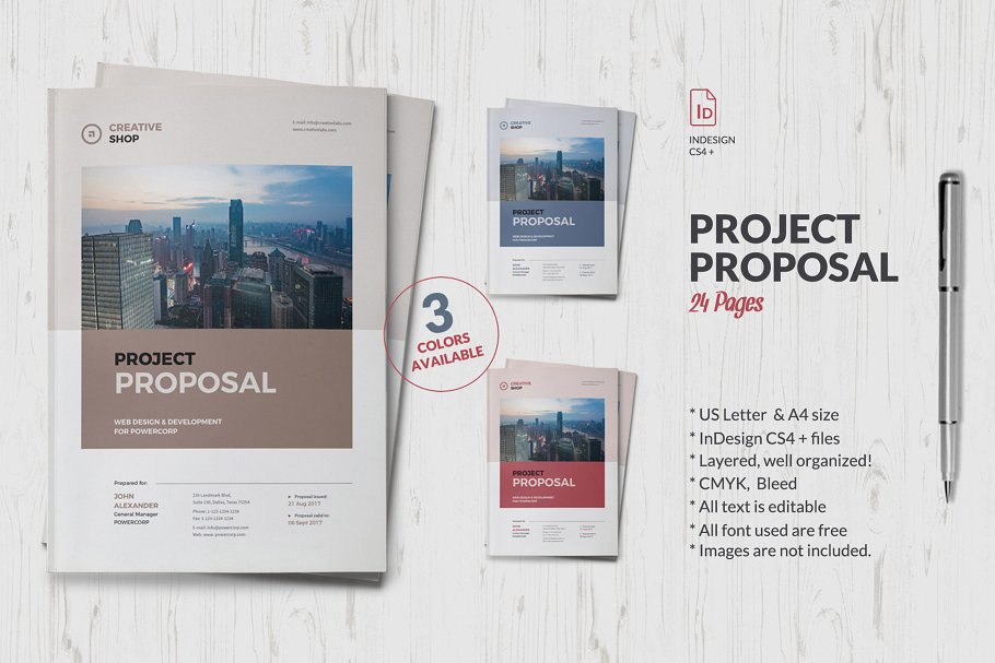 企业项目建议书或项目标书模板 Project Proposal插图