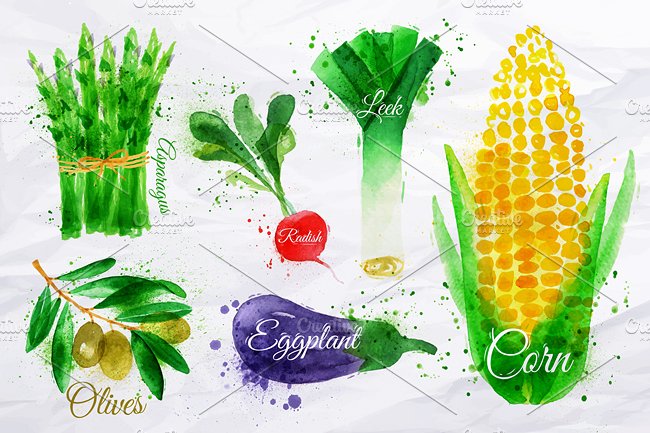 常见蔬菜水彩剪切画素材包 Vegetables Watercolor插图(4)