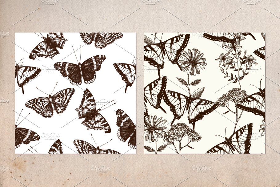 复古风格蝴蝶手绘插画 Vector Butterfly & Flowers Set插图4