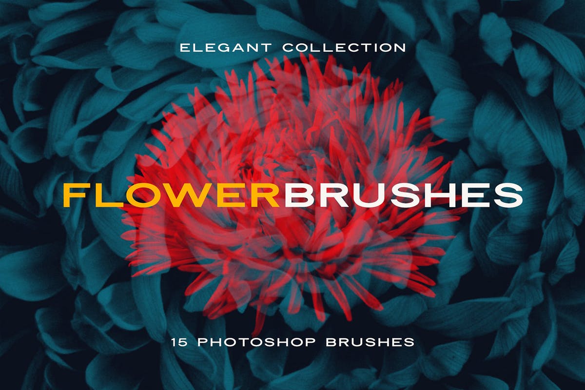 15款优雅花卉图案PS笔刷 Elegant Flower Brushes for Photoshop插图