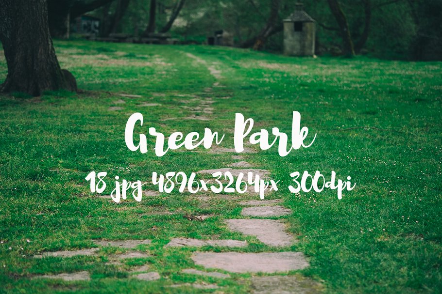 生机勃勃的公园景象高清照片素材 Green Park bundle插图1