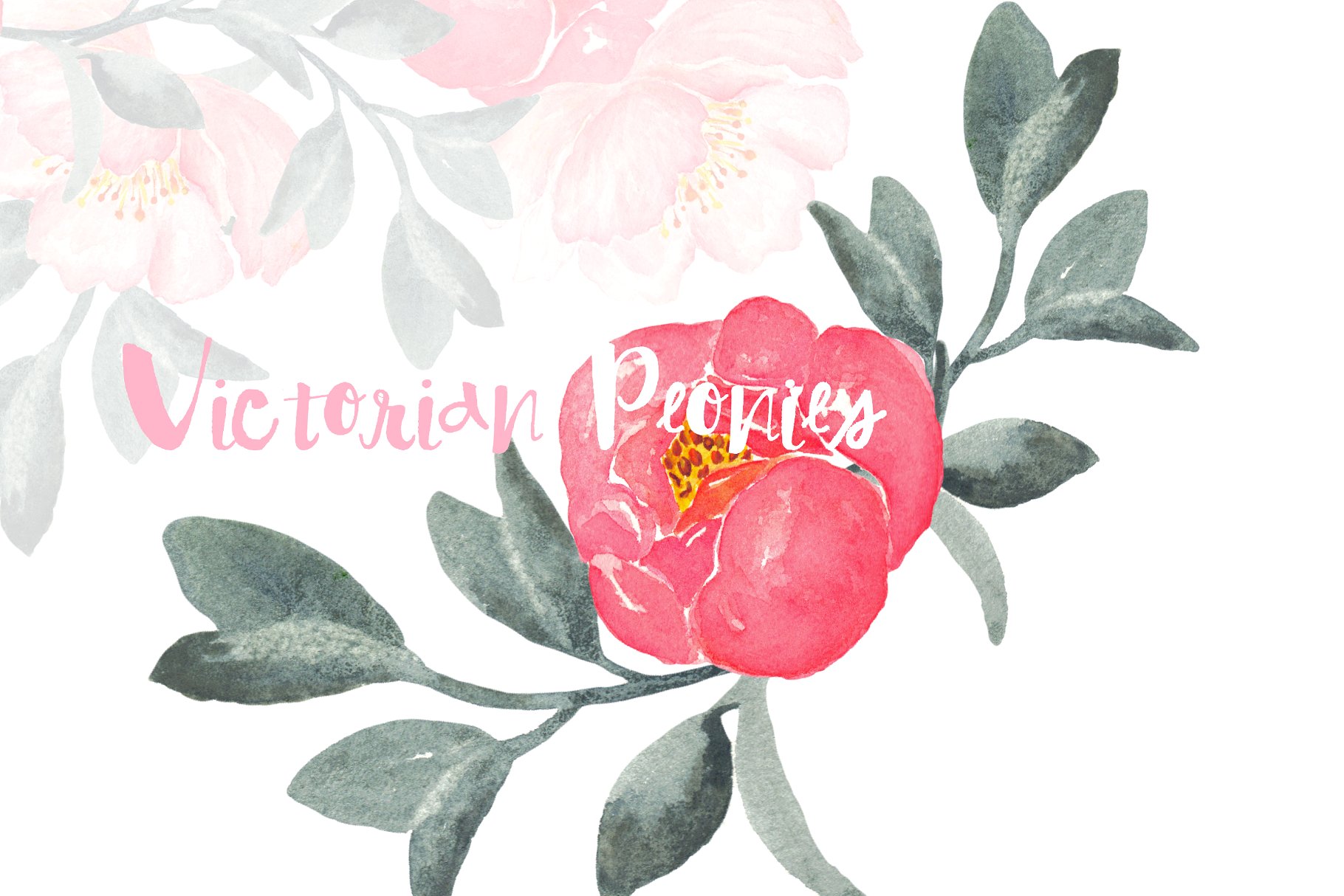 维多利亚时代水彩艺术牡丹剪贴画素材 Peony Victorian Watercolor Clipart插图(1)