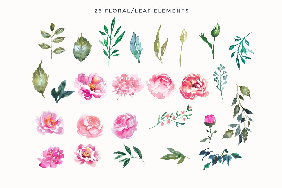 牡丹花水彩剪贴画 Peonies Pink Flower Clipart插图(5)