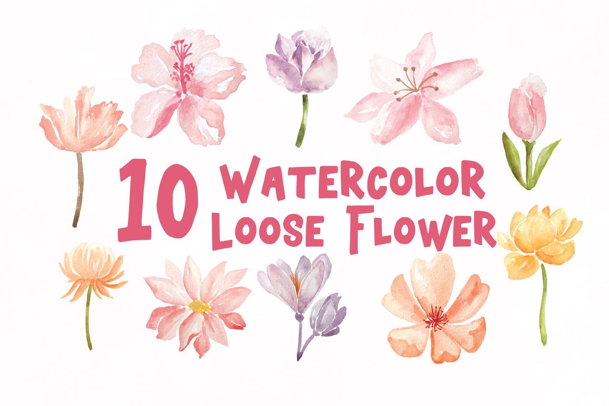 盛开的花卉水彩插画元素合集 10 Watercolor Loose Flowers Illustration Graphics插图