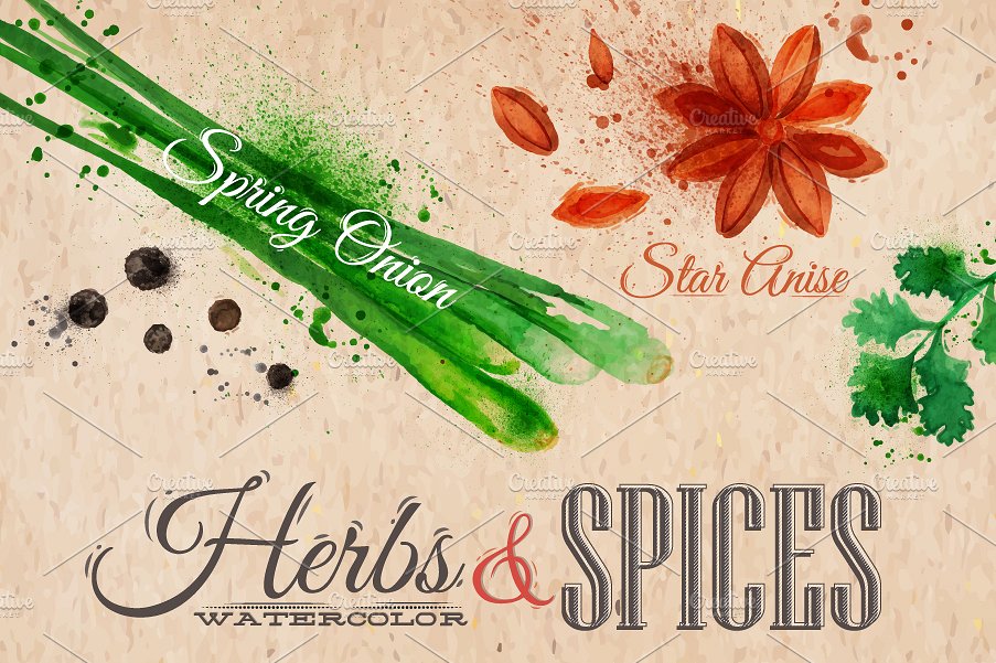 药草香料水彩插画 Herbs spices watercolor插图