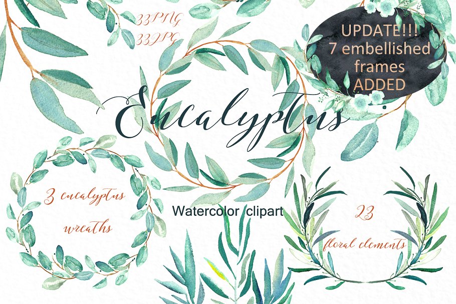 桉树叶水彩剪贴画&水彩装饰字体 Eucalyptus. Watercolor clipart.插图(1)