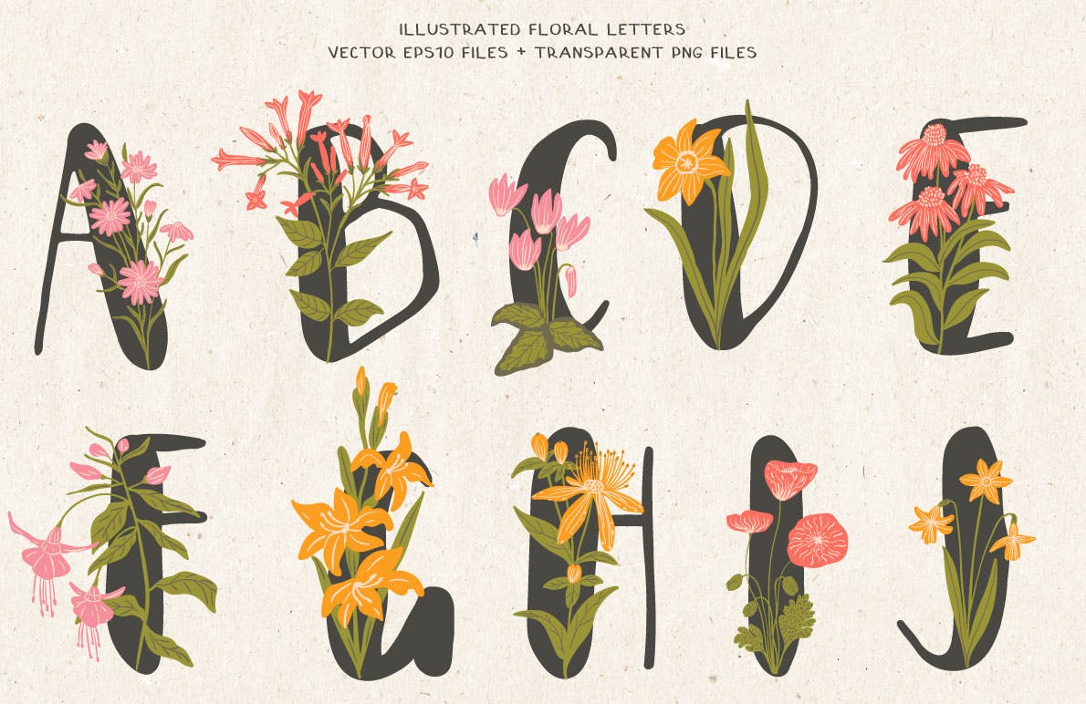 植物花卉装饰英文字母手绘素材 Floral Illustrated Alphabet插图(1)