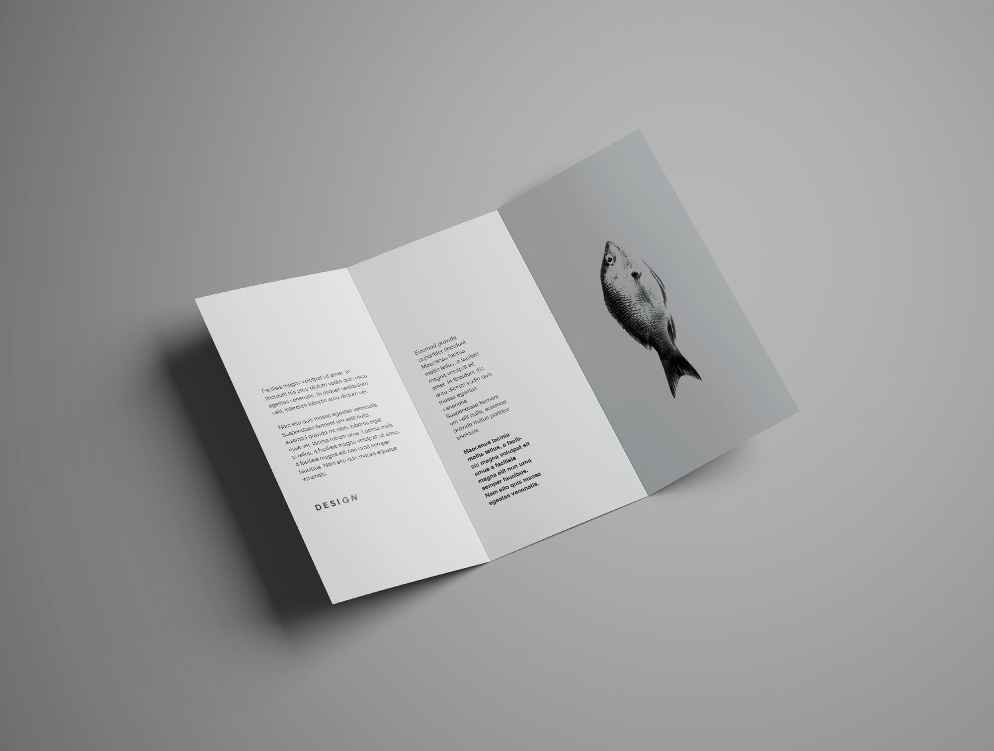 多角度三折页宣传单设计效果图样机 Free Advanced Trifold Brochure Mockup – 7 Angles插图(8)