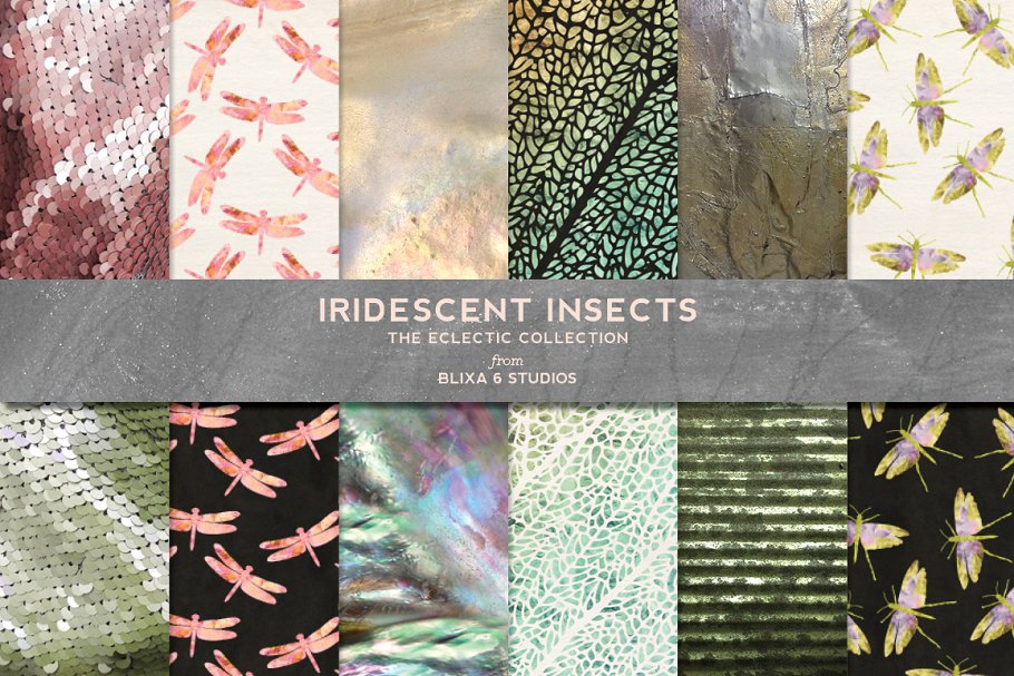 华丽彩虹金箔色蜻蜓鳞片图案纹理 Iridescent Insects & Backgrounds插图