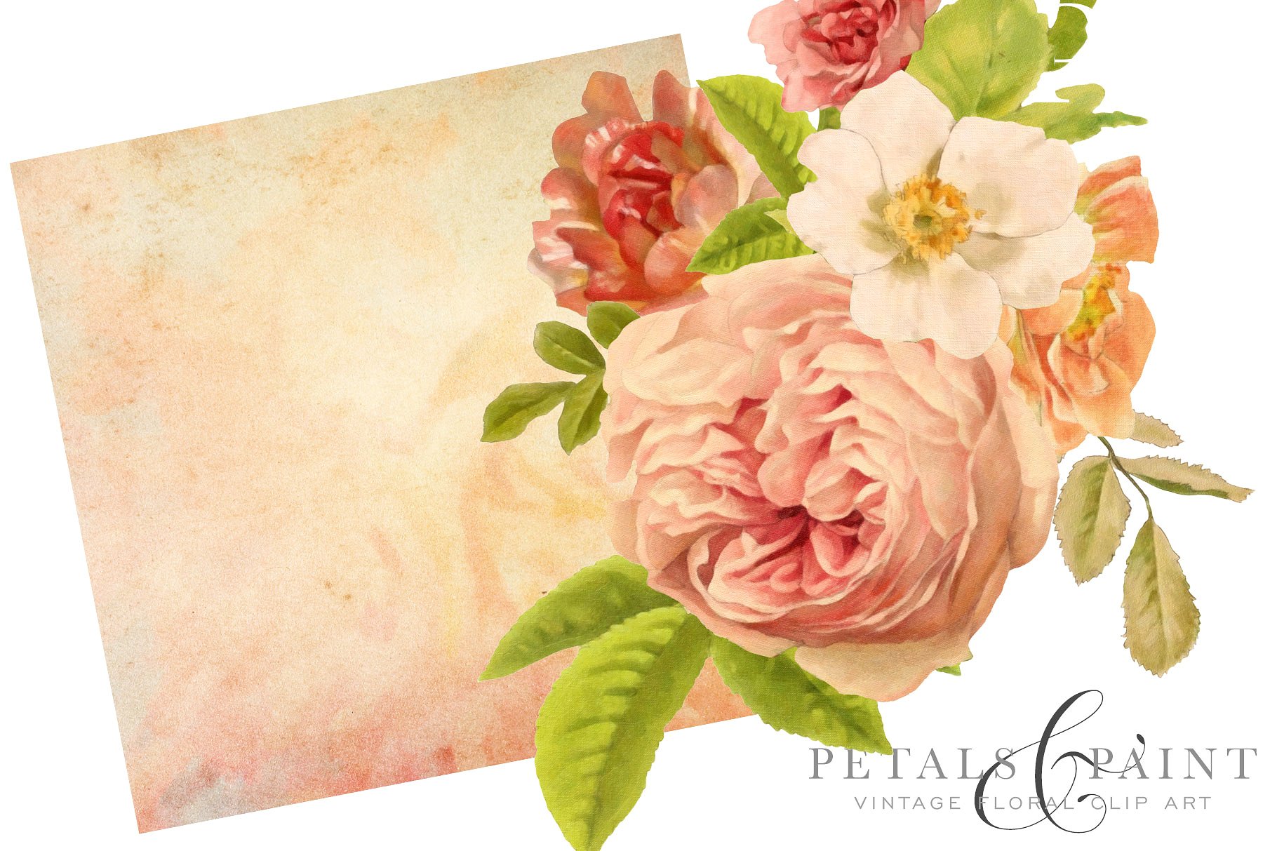 复古油画质感花卉花瓣纹理 Petals & Paint – Floral Clip Art插图(4)