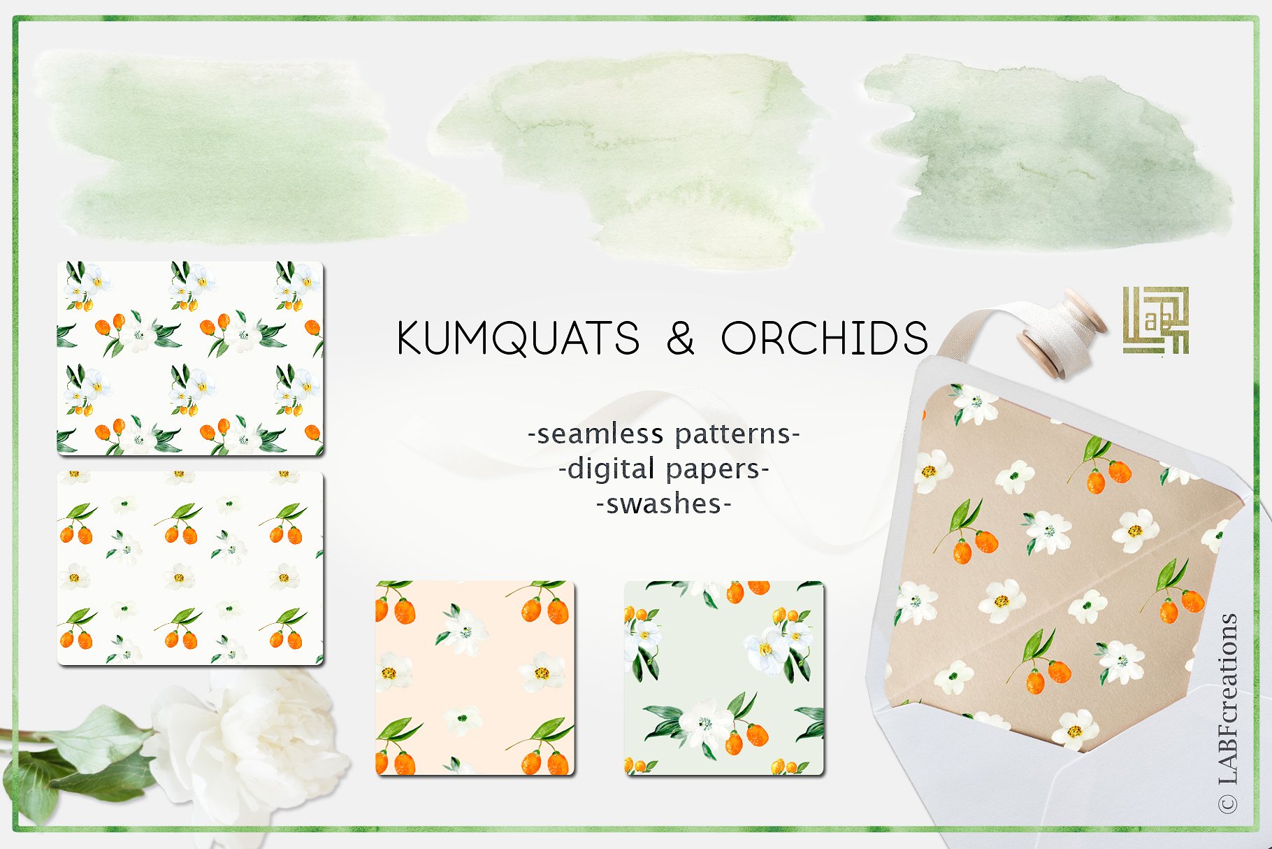 金橘和白色兰花手绘水彩画素材 Kumquat & white orchids. Watercolors插图5