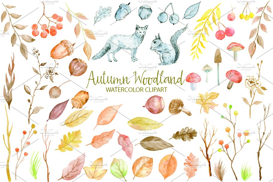 水彩秋季林地剪贴画合集 Watercolor Clipart Autumn Woodland插图(1)