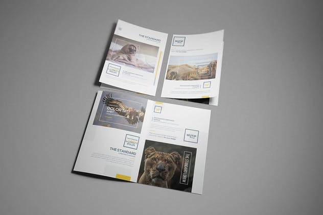 双折页A4规格企业品牌宣传册样机 Bi-Fold A4 Brochure Mockups插图(3)