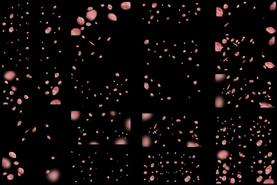 5K高清分辨率花瓣叠层覆盖层素材 5K Petals Overlays插图3