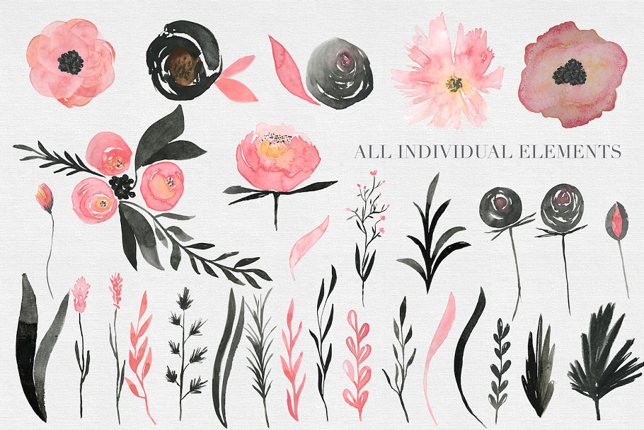 黑色&粉色水彩玫瑰花插画集 Black & Pink Rose Watercolor Set插图(1)