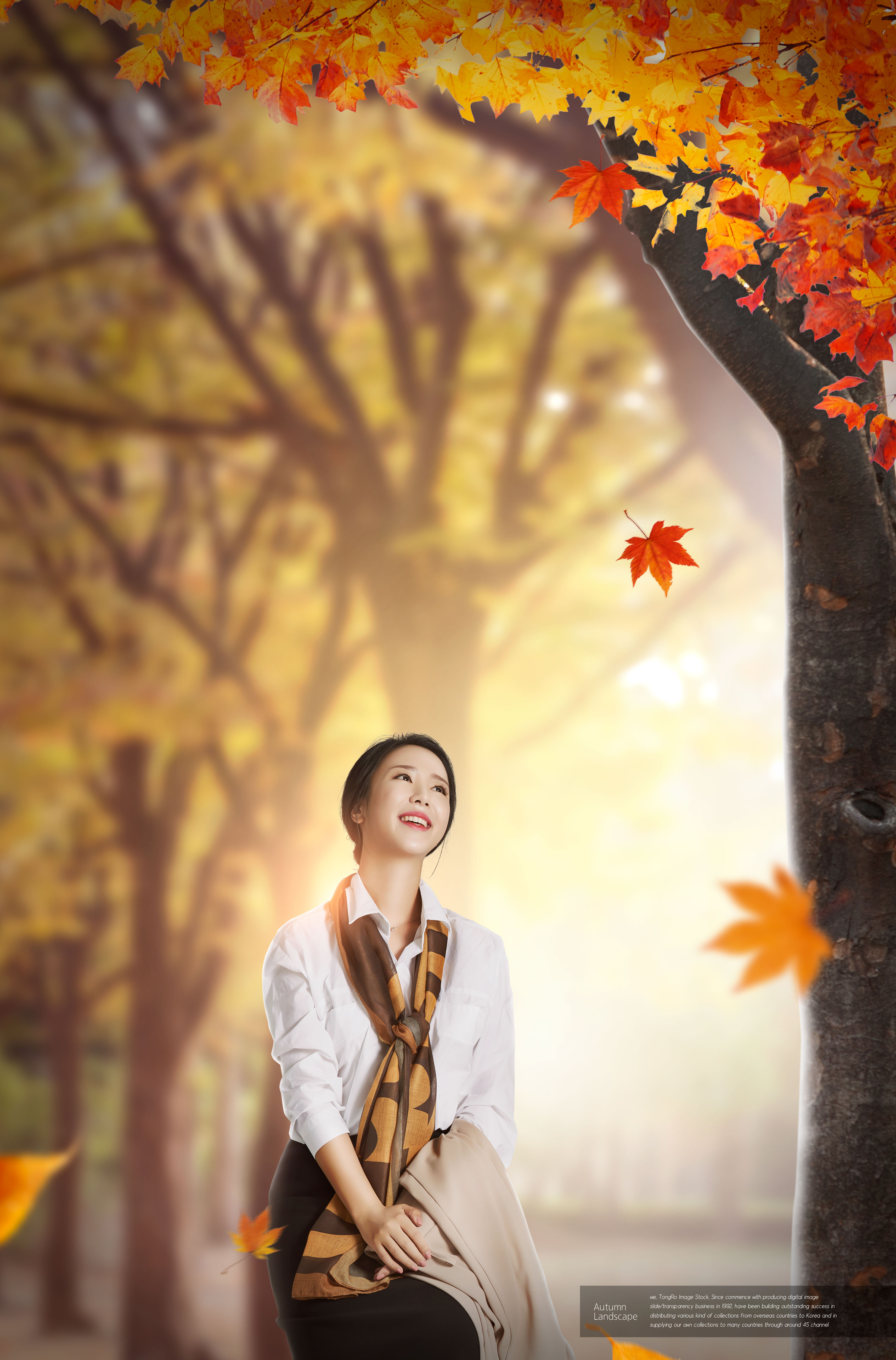 秋季景色旅行主题海报图片素材[PSD]插图(2)