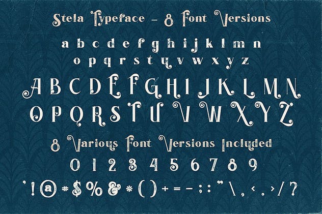 复古外观风格英文衬线装饰字体下载 Stela – Display Font插图3