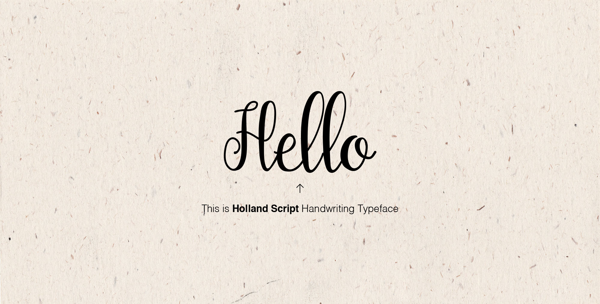 会“跳舞”的英文浪漫书法字体 Holland Script Handwriting Font插图