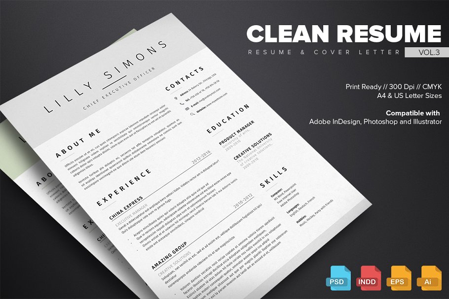 清新简约个人简历模板v3 Clean Resume Template Vol.3插图