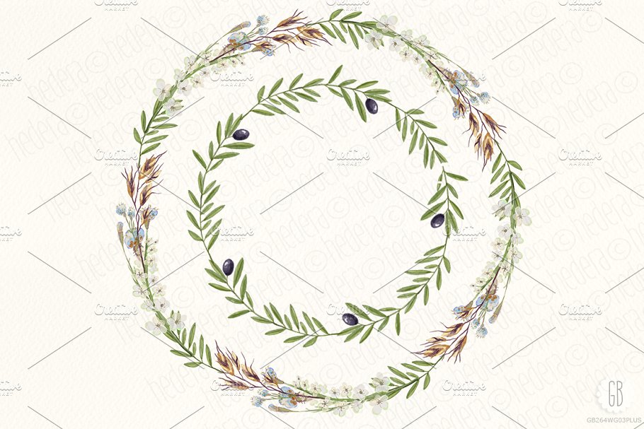 橄榄枝&野花花环水彩插画 Watercolor wildflowers wreaths olive插图(2)