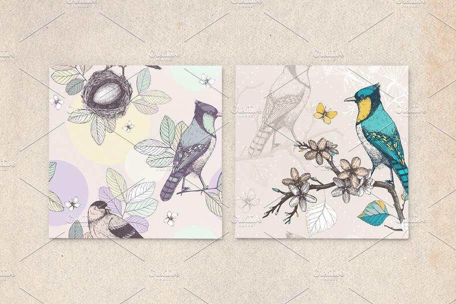 春季手绘小鸟自然元素 Hand Drawn Spring Birds Patterns插图(4)