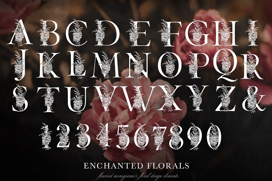 魔法花卉装饰字母创意字母集 Enchanted Florals Monogram Set插图2