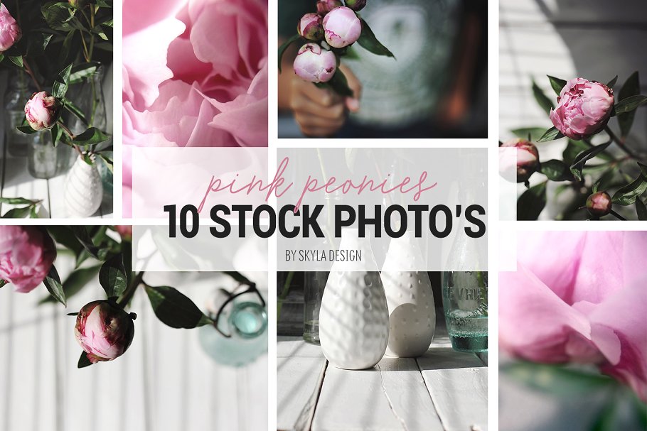 粉红色牡丹花卉装饰场景模板 Styled stock photos, Pink peonies插图