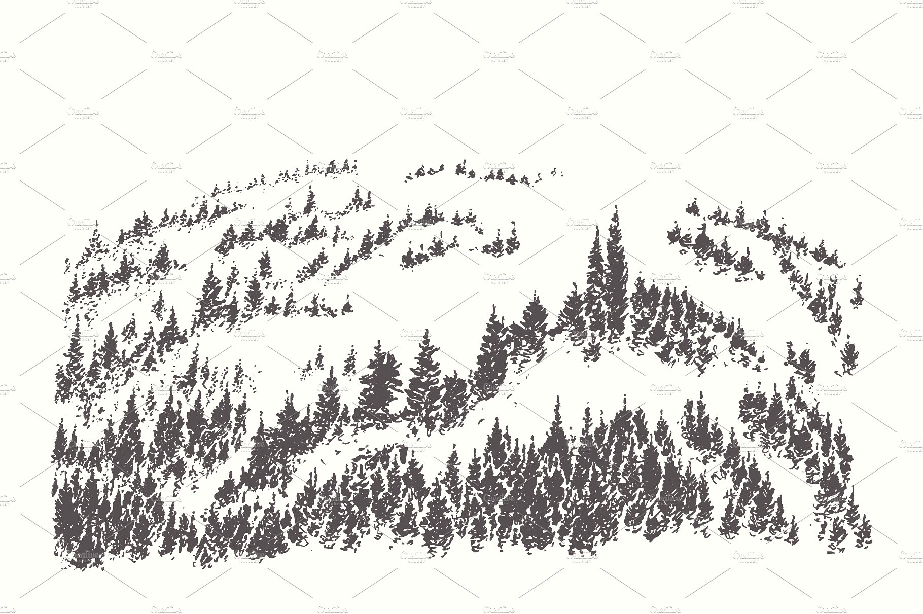 素描森林景观作品插画合集 Collection of forest landscapes插图1