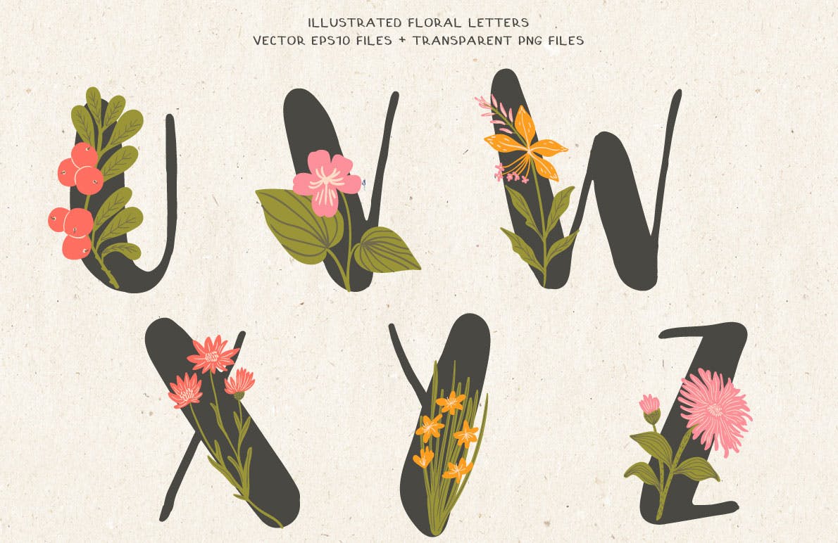 植物花卉装饰英文字母手绘素材 Floral Illustrated Alphabet插图3