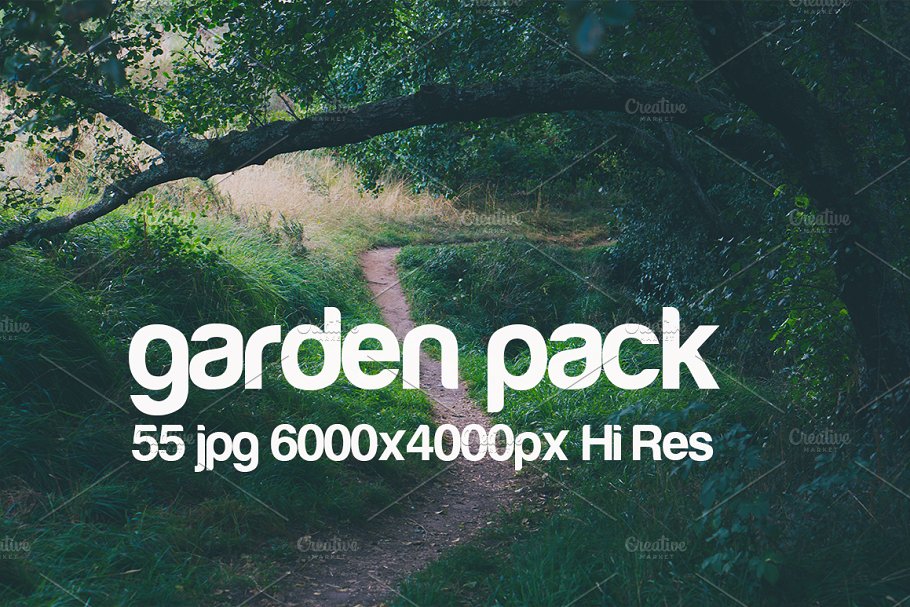 花园取景高清照片素材 garden park photo pack插图(1)