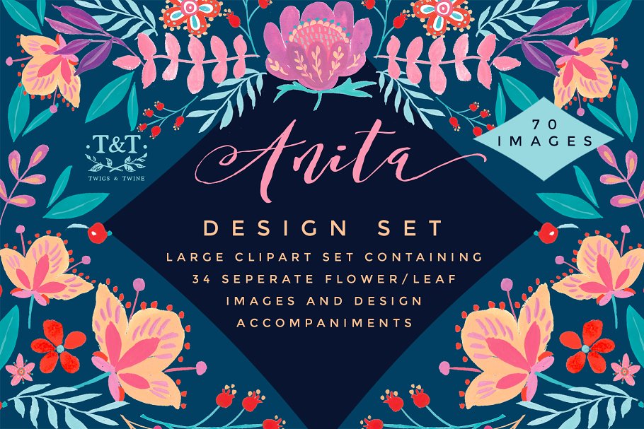 优雅时尚水彩花卉剪辑集 Watercolor Floral Clipart Set Anita插图